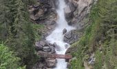 Tocht Stappen Pralognan-la-Vanoise - Pralognan - Mont Bochor - Cascades - Photo 1