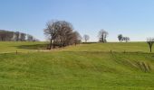 Trail Walking Soultz-sous-Forêts - Le sentier des cimes depuis Soultz - Photo 15