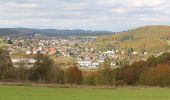 Tocht Te voet Gladenbach - [G2] - Rundweg Gladenbach - Bruchmühle - Sportplatz Erdhausen - Koppe - Mornshausen - Gladenbach - Photo 10