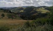 Tour Wandern Yzeron - Izeron - Des cascades à la Madonne - Photo 17