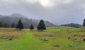 Trail Walking Fillière - Chalet des Auges - Photo 10