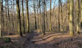 Trail Walking Huldenberg - Ottembourg - Photo 2
