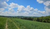 Tour Wandern Goesdorf - Goebelsmühle  - Photo 10