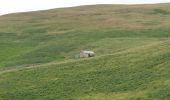 Tocht Te voet Unknown - Saint Cuthbert's Way (Kirk Yetholm to Lindisfarne) - Photo 7