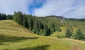 Trail Walking Le Valtin - VOSGES 2023 - Col de la Schlucht - Les Rochers de Hirschteine - Photo 13