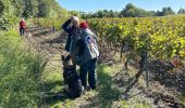 Excursión  Pignan - St Georges centre psy rivière  - Photo 2