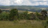 Trail Walking Saint-André-de-Rosans - SAINT ANDRE DE ROSANS - SERRE DE BOUT - Photo 6