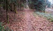 Tocht Stappen Braillans - BRAILLANS Forêt de MARCHAUX - Photo 7