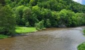 Trail Walking Vresse-sur-Semois - Laforet 200524 - Photo 12