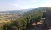 Tocht Stappen Saverne - Les 4 châteaux de Saverne - Photo 8