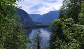 Tocht Stappen Hallstatt - Hallstatt - Photo 4