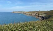 Excursión Senderismo Cancale - Boucle pointe du Grouin Cancale - Photo 12