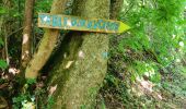 Trail Walking Enval - Cascades d'Enval  - Photo 4