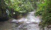 Tour Wandern Mindo - Cascadas de Tarabita - Photo 15