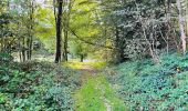 Randonnée Marche Largny-sur-Automne - en Forêt de Retz_90_09_2021_la Selve - Photo 13