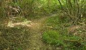 Tocht Stappen Thoré-la-Rochette - Thoré-la-Rochette - Vallée et Coteaux du Loir - Photo 19