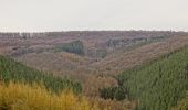 Trail Walking Stoumont - chevron ( promenade de la chapelle ) - Photo 12