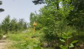 Tour Wandern Andon - Les  Lys Pomponne de la montagne de Thiey - Photo 12