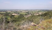 Tour Wandern Courmangoux - Chevignat-Plain Champs-Mont Verjon  - Photo 2