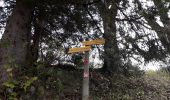 Tocht Stappen Le Haut-Bréda - moretan par la bourgeat blanche - Photo 1