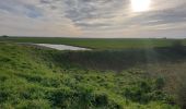 Randonnée Marche Les Moutiers-en-Retz - Marais de Bouin et Polder de la Coupelasse - Photo 1