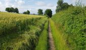 Trail Walking Gulpen-Wittem - 2021-07-01_13h51m24_077 - Photo 8