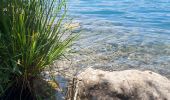 Trail Walking Le Frasnois - Tour du lac du Franoy - Photo 2