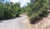 Tocht Stappen Saint-Nectaire - TOUR DU PUY D' ERAIGNE DEPUIS LE CAMPING 