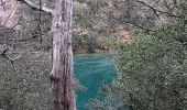 Trail Walking Quinson - verdon basse gorge via ravin ste marguerite et chapelle ste marguerite  - Photo 9