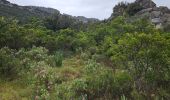 Trail Walking La Farlède - Promenade vers le petit Coudon - Photo 2