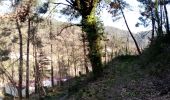 Tour Wandern Les Ollières-sur-Eyrieux - la croix du banc - Photo 2