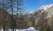 Tocht Sneeuwschoenen Ceillac - ceillac ravin du clos des oiseaux 11kms 506m  - Photo 2