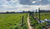 Tocht Stappen Brakel - Everbeek 18,4 km - Photo 12