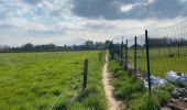 Trail Walking Brakel - Everbeek 18,4 km - Photo 12