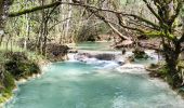 Excursión Senderismo Saint-Zacharie - NSB2-SourceHuveaune-301024 - Photo 6