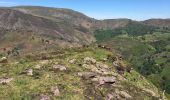 Randonnée Marche Bidarray - Iparaguirre - Photo 4