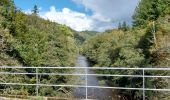 Tour Wandern Bort-les-Orgues - Chute de la Saule - Photo 7