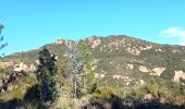 Tocht Elektrische fiets Fréjus - Velos dans l'Esterel 29km - Photo 5