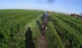 Excursión Bici de montaña Seneffe - Seneffe_20191110_083430 - Photo 6