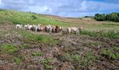 Tour Wandern La Trinité - bouc’le spoutourne  - Photo 7