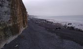 Excursión Caravana Veulettes-sur-Mer - Seine-Maritime. Somme. 15.01.2022. - Photo 2