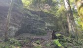 Tour Wandern Langstein - Lac de Pierre Percée - Photo 6