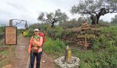 Excursión Senderismo Puente la Reina - 16.04.18 Puente la Reina--Ayegui - Photo 2