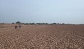 Tour Wandern M'Hamid El Ghizlane ⵎⵃⴰⵎⵉⴷ ⵍⵖⵯⵣⵍⴰⵏ امحاميد الغزلان - Parcours du matin Campement 4 - Photo 2