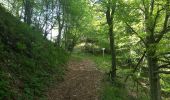Trail On foot Bondone - IT-107 - Photo 3