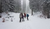 Randonnée Raquettes à neige Autrans-Méaudre en Vercors - La Quoi La Grande Brèche 2020 - Photo 4