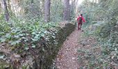 Trail Nordic walking Lodève - Chemin des Tines - Col de la Défriche - Photo 18