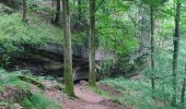 Tocht Stappen Ernolsheim-lès-Saverne - 2019-05-30 Marche Mt St Michel Ernolsheim les Saverne Reel - Photo 1