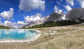 Trail On foot Cortina d'Ampezzo - IT-203 - Photo 2