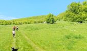 Randonnée Marche Omblèze - Refuge d' Ambel - Photo 6